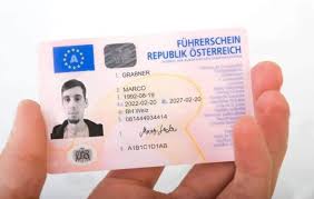 wie viel kostet der l17 führerschein in österreich