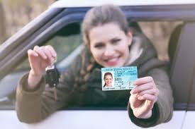 Wie viel kostet der L17 Führerschein in Österreich